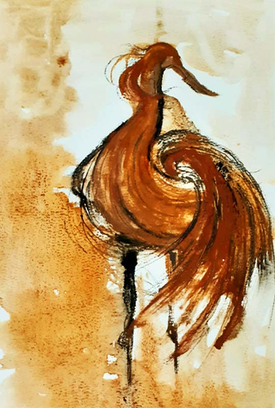 Dance of the Curlew Debut S