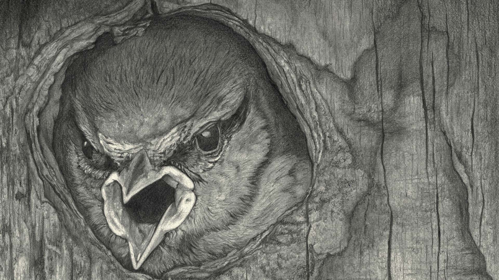 Sketch & Pencil Art HOME